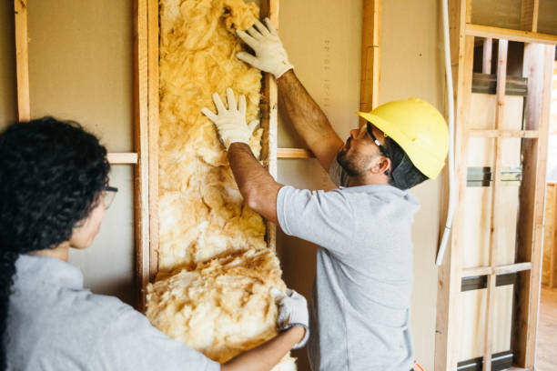 Best Insulation Removal  in Whitehorn Cove, OK